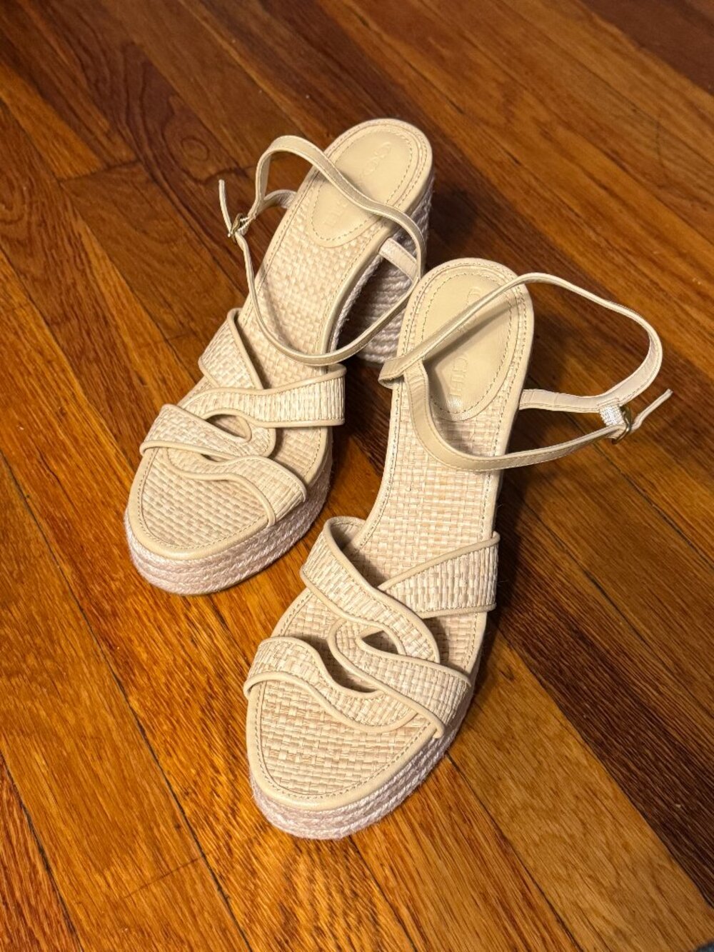 Coach Talina Platform Raffia Dress Sandals